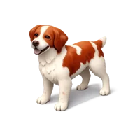 Brittany Spaniel 3D icon
