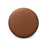 Brown Circle 3D icon