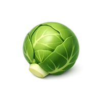 Brussels Sprouts 3D icon