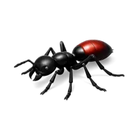 Bullet Ant 3D icon