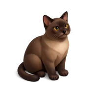 Burmese Cat 3D icon