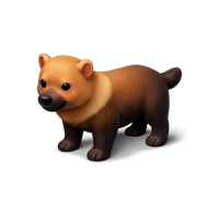 Bush Dog 3D icon