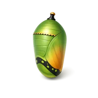 Butterfly Chrysalis 3D icon