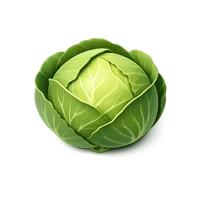 Cabbage 3D icon