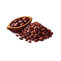 Cacao Nibs 3D icon