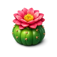 Cactus Flower 3D icon