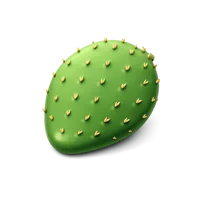 Cactus Pad 3D icon