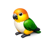 Caique Parrot 3D icon