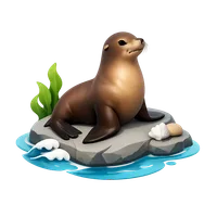 California Sea Lion 3D icon