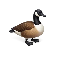 Canada Goose 3D icon