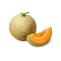 Cantaloupe 3D icon