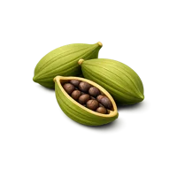 Cardamom 3D icon