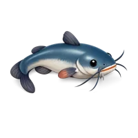 Catfish 3D icon