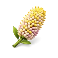 Catkin 3D icon