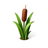 Cattail 3D icon