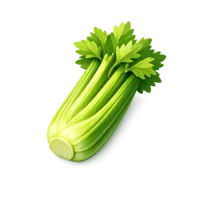 Celery 3D icon
