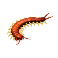 Centipede 3D icon