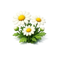 Chamomile 3D icon