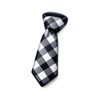 Checkered Tie 3D icon
