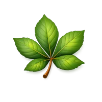 Chestnut Leaf 3D icon