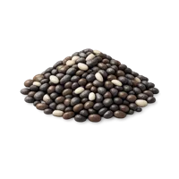 Chia Seeds 3D icon