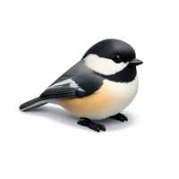 Chickadee 3D icon