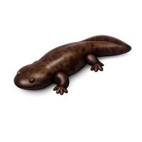 Chinese Giant Salamander 3D icon