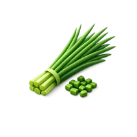 Chives 3D icon
