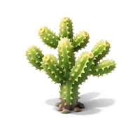 Cholla Cactus 3D icon