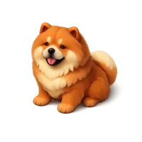 Chow Chow 3D icon