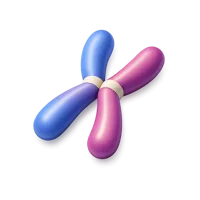 Chromosome 3D icon