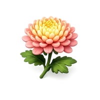 Chrysanthemum 3D icon