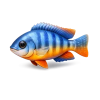 Cichlid Fish 3D icon