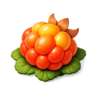Cloudberry 3D icon