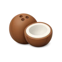 Coconut 3D icon