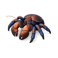 Coconut Crab 3D icon