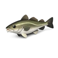 Cod 3D icon