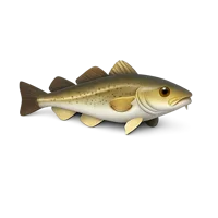 Cod Fish 3D icon