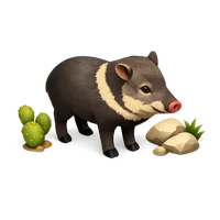 Collared Peccary 3D icon
