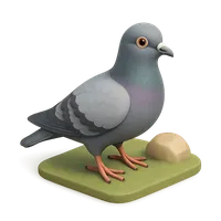 Common Pigeon 3D icon