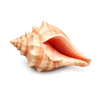 Conch Shell 3D icon