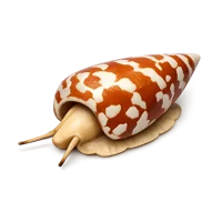Cone Snail 3D icon
