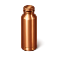 Copper Water Bottle 3D icon