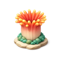 Coral Polyp 3D icon