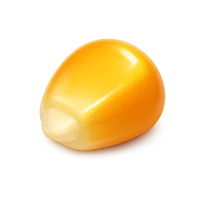 Corn Kernel 3D icon