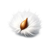 Cottonwood Seed 3D icon