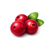 Cranberry 3D icon