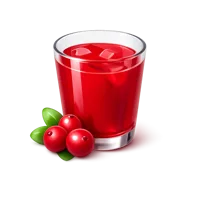 Cranberry Juice 3D icon