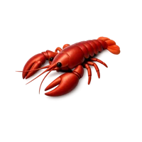 Crayfish 3D icon