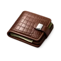 Crocodile Wallet 3D icon